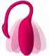 Mascondon Juguetes eróticos Flamingo Huevo vibrador por APP