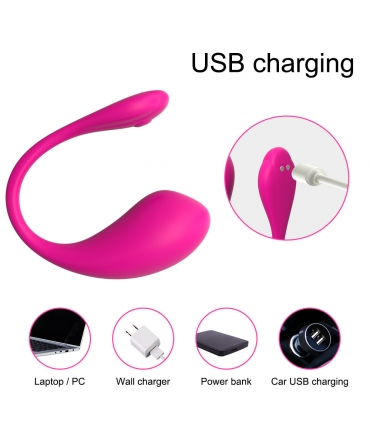 Vibrador Rosa Mando Distancia recargable USB